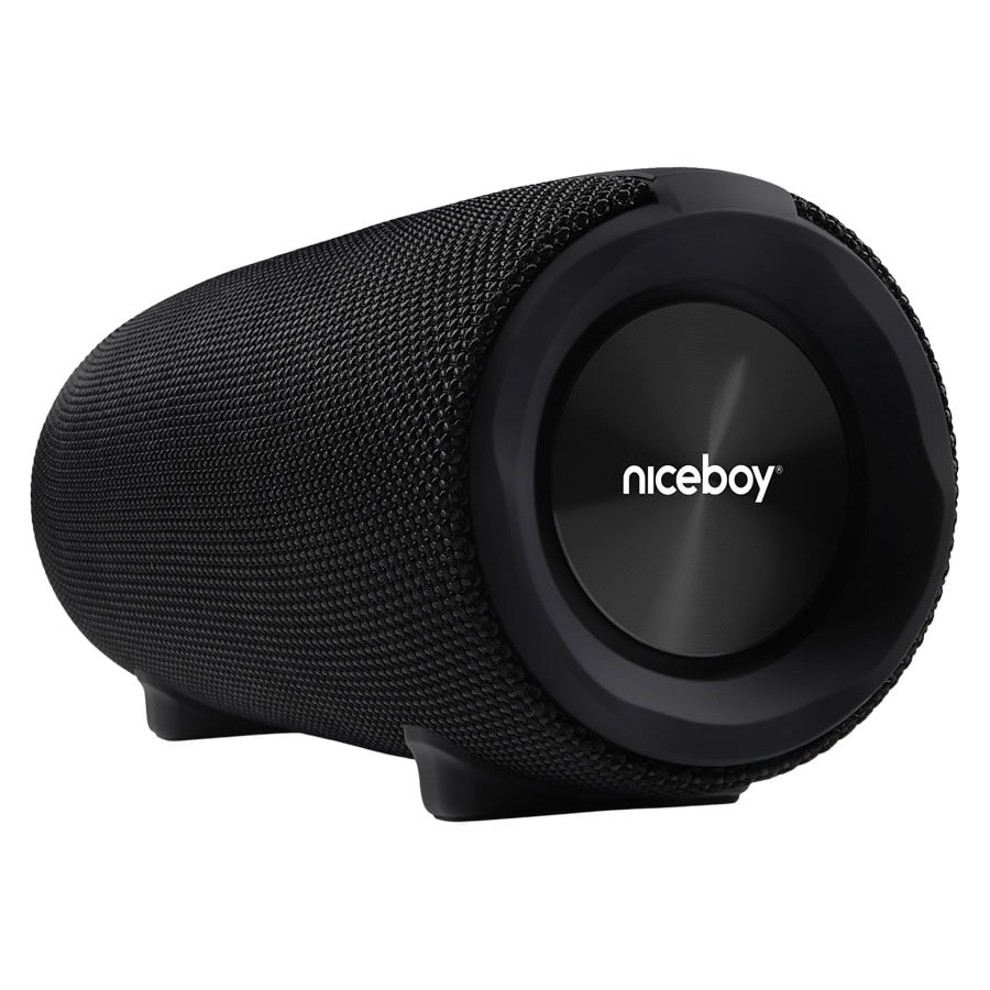 niceboy-raze-titan-4-bluetooth_speaker-2-removebg.jpg